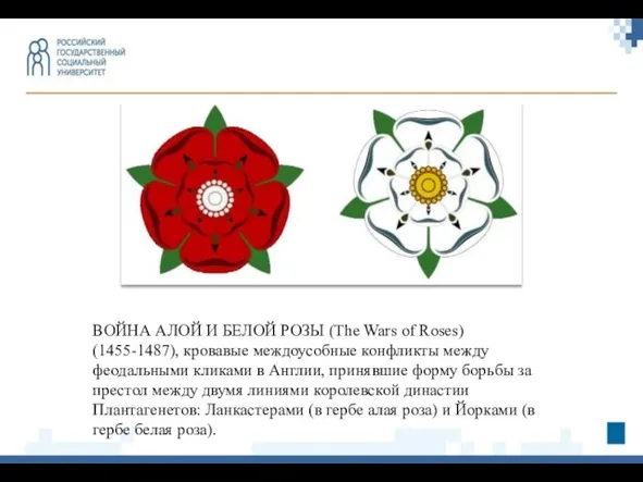 ВОЙНА АЛОЙ И БЕЛОЙ РОЗЫ (The Wars of Roses) (1455-1487), кровавые междоусобные