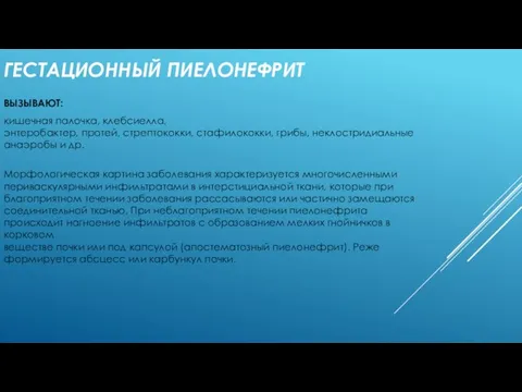 ГЕСТАЦИОННЫЙ ПИЕЛОНЕФРИТ ВЫЗЫВАЮТ: кишечная палочка, клебсиелла, энтеробактер, протей, стрептококки, стафилококки, грибы, неклостридиальные