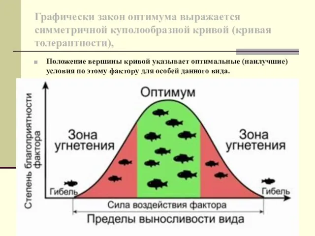 Графически закон оптимума выражается симметричной куполообразной кривой (кривая толерантности), Положение вершины кривой