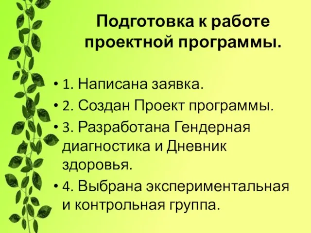 Подготовка к работе проектной программы. 1. Написана заявка. 2. Создан Проект программы.