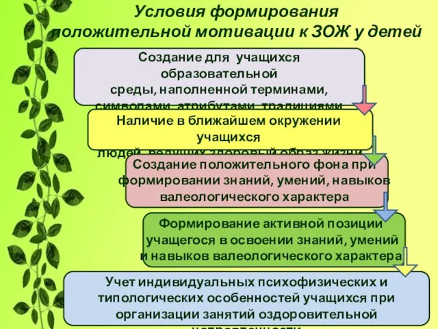 Условия формирования положительной мотивации к ЗОЖ у детей Создание для учащихся образовательной