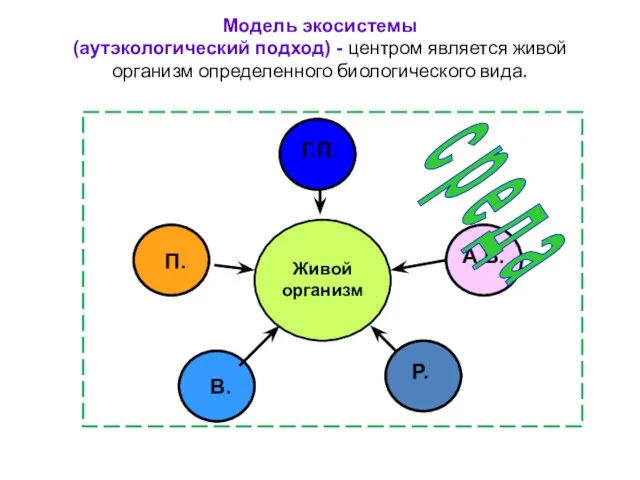 Модель экосистемы (аутэкологический подход) - центром является живой организм определенного биологического вида.