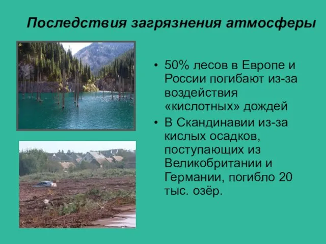 Последствия загрязнения атмосферы 50% лесов в Европе и России погибают из-за воздействия