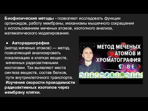 Биофизические методы - позволяют исследовать функции органоидов, работу мембраны, механизмы мышечного сокращения