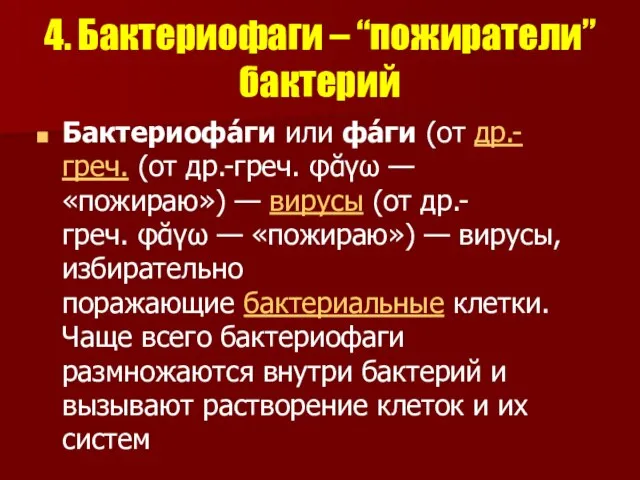 4. Бактериофаги – “пожиратели” бактерий Бактериофа́ги или фа́ги (от др.-греч. (от др.-греч.