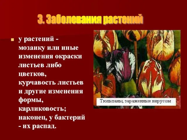 у растений - мозаику или иные изменения окраски листьев либо цветков, курчавость