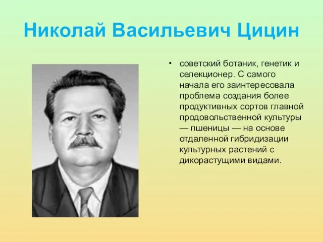 Николай Васильевич Цицин советский ботаник, генетик и селекционер. С самого начала его