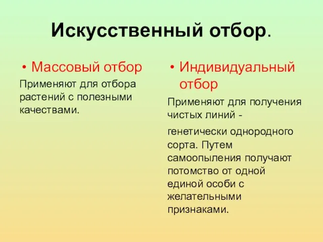 Искусственный отбор. Массовый отбор Применяют для отбора растений с полезными качествами. Индивидуальный