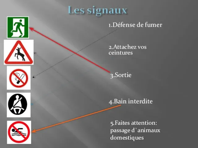 2.Attachez vos ceintures 5.Faites attention: passage d`animaux domestiques 3.Sortie 4.Bain interdite 1.Défense de fumer