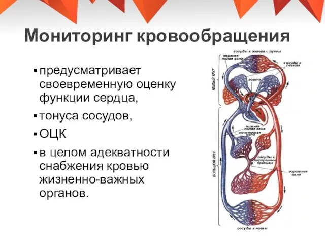 Мониторинг кровообращения предусматривает своевременную оценку функции сердца, тонуса сосудов, ОЦК в целом