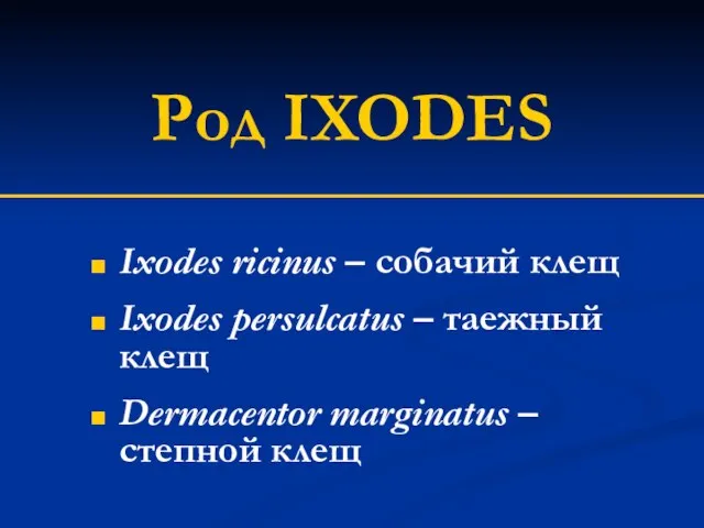 Род IXODES Ixodes ricinus – собачий клещ Ixodes persulcatus – таежный клещ