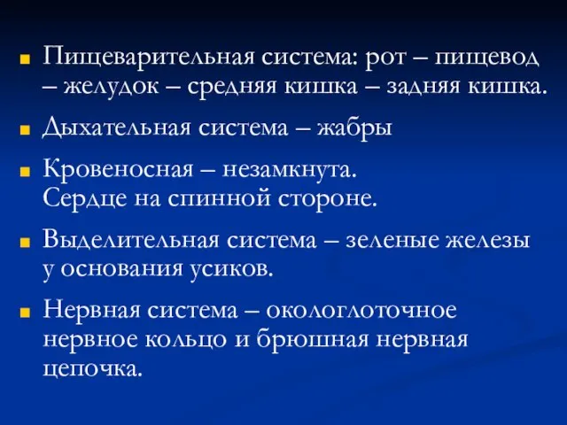 Пищеварительная система: рот – пищевод – желудок – средняя кишка – задняя