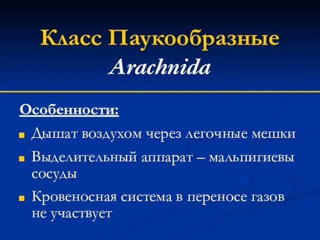 Класс Паукообразные Arachnidа Особенности: Дышат воздухом через легочные мешки Выделительный аппарат –