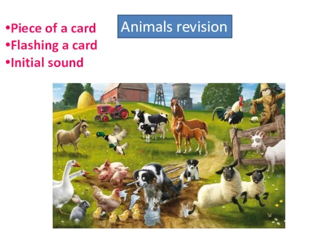 Animals revision Piece of a card Flashing a card Initial sound