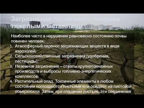 Загрязнение почвенного покрова тяжелыми металлами Наиболее часто в нарушении равновесно состоянию почвы