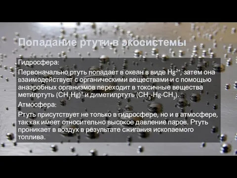 Попадание ртути в экосистемы Гидросфера: Первоначально ртуть попадает в океан в виде