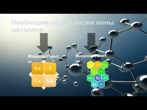 Необходимые для жизни ионы металлов Макроэлементы Микроэлементы