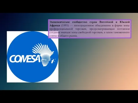 Экономическое сообщество стран Восточной и Южной Африки (1993) — интеграционное объединение в