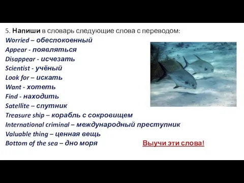 5. Напиши в словарь следующие слова с переводом: Worried – обеспокоенный Appear