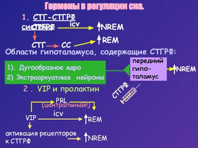 передний гипо- таламус Гормоны в регуляции сна. 1. СТГ-СТГРФ система. СТГРФ Области