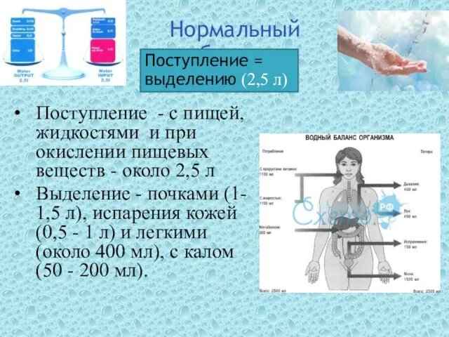 Нормальный баланс Поступление - с пищей, жидкостями и при окислении пищевых веществ