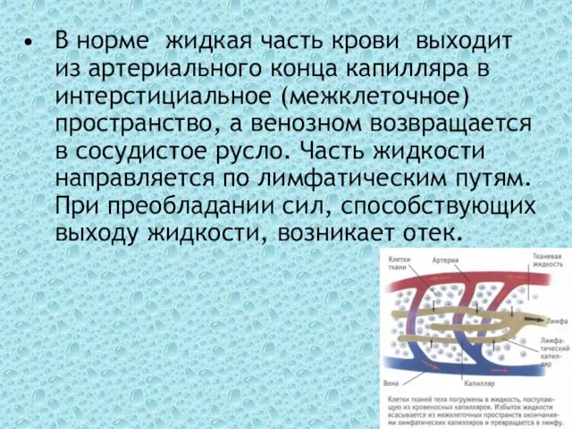 В норме жидкая часть крови выходит из артериального конца капилляра в интерстициальное