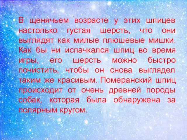 В щенячьем возрасте у этих шпицев настолько густая шерсть, что они выглядят