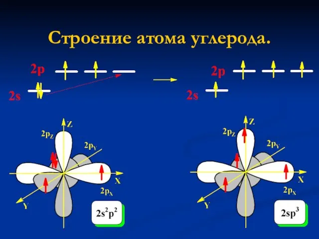 Строение атома углерода.