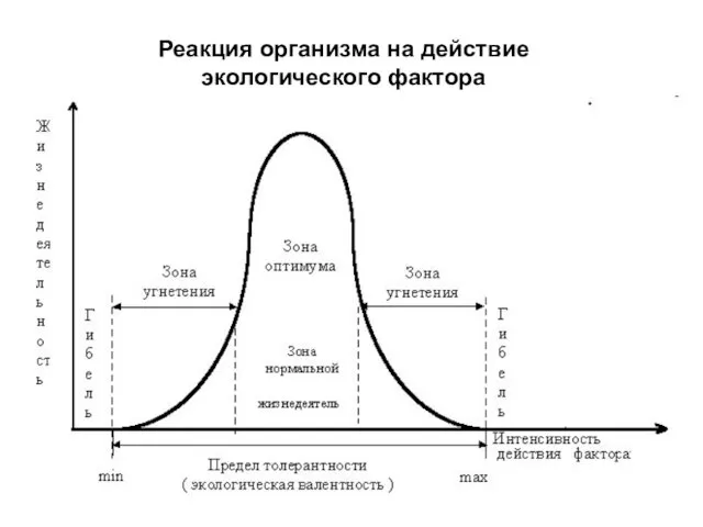 Реакция организма на действие экологического фактора