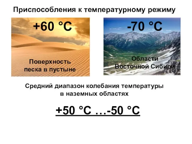Приспособления к температурному режиму +60 °С -70 °С Поверхность песка в пустыне