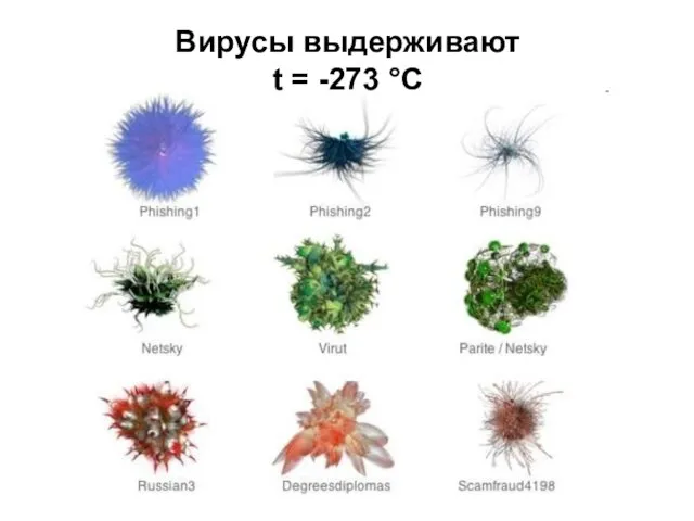 Вирусы выдерживают t = -273 °С