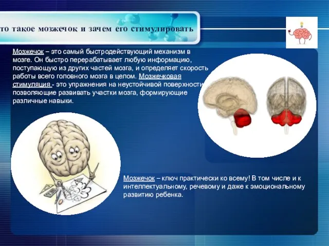 Что такое мозжечок и зачем его стимулировать Мозжечок – это самый быстродействующий