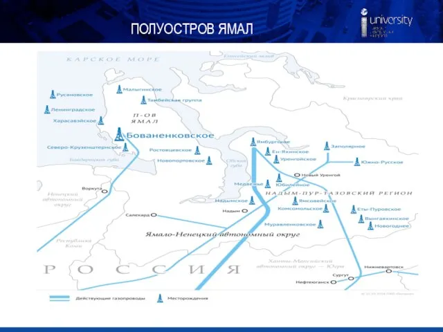 ПОЛУОСТРОВ ЯМАЛ