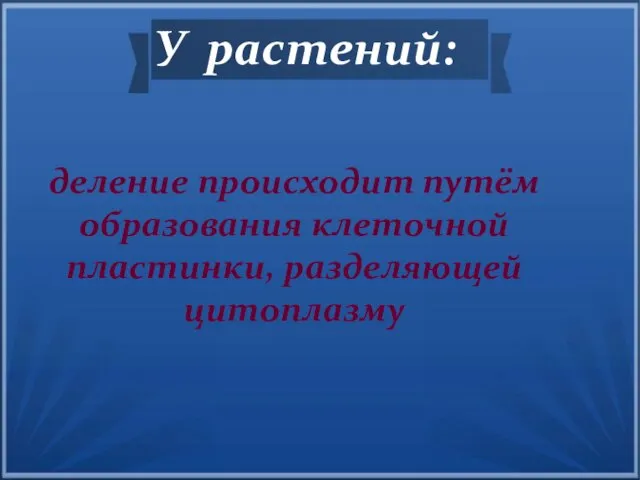 деление происходит путём образования клеточной пластинки, разделяющей цитоплазму У растений: