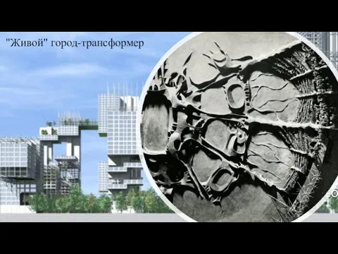 "Живой" город-трансформер