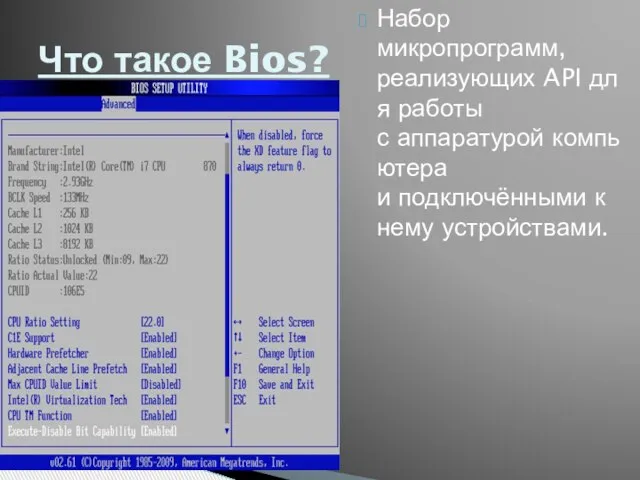 Набор микропрограмм, реализующих API для работы с аппаратурой компьютера и подключёнными к