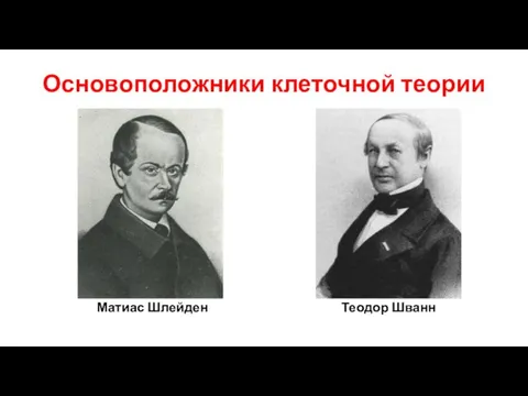 Основоположники клеточной теории Матиас Шлейден Теодор Шванн