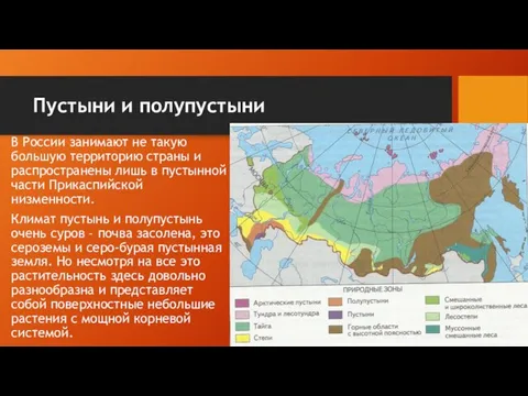 Пустыни и полупустыни В России занимают не такую большую территорию страны и