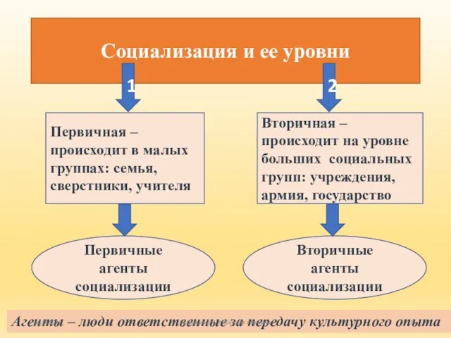 Социализация и ее уровни 1 2 Первичная – происходит в малых группах: