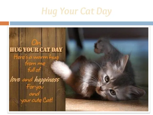 Hug Your Cat Day