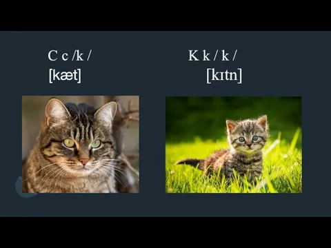 C c /k / K k / k / [kæt] [kɪtn]