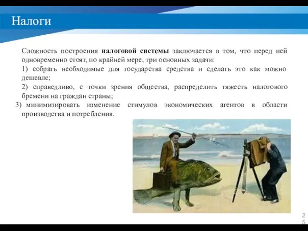 Налоги Сложность построения налоговой системы заключается в том, что перед ней одновременно