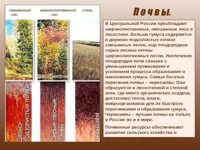 П о ч в ы. В Центральной России преобладают широколиственные, смешанные леса