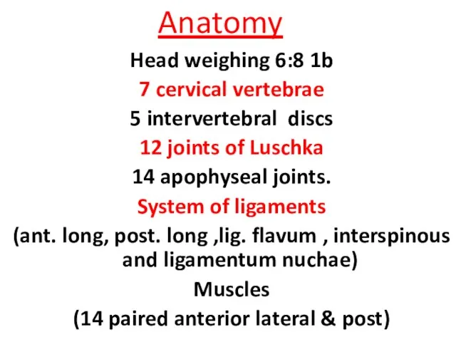 Anatomy Head weighing 6:8 1b 7 cervical vertebrae 5 intervertebral discs 12