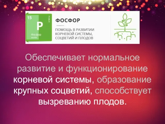 Обеспечивает нормальное развитие и функционирование корневой системы, образование крупных соцветий, способствует вызреванию плодов.