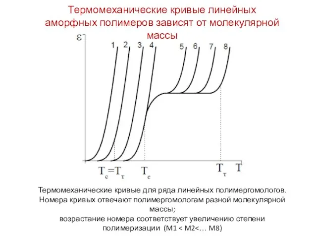 Термомеханические кривые для ряда линейных полимергомологов. Номера кривых отвечают полимергомологам разной молекулярной