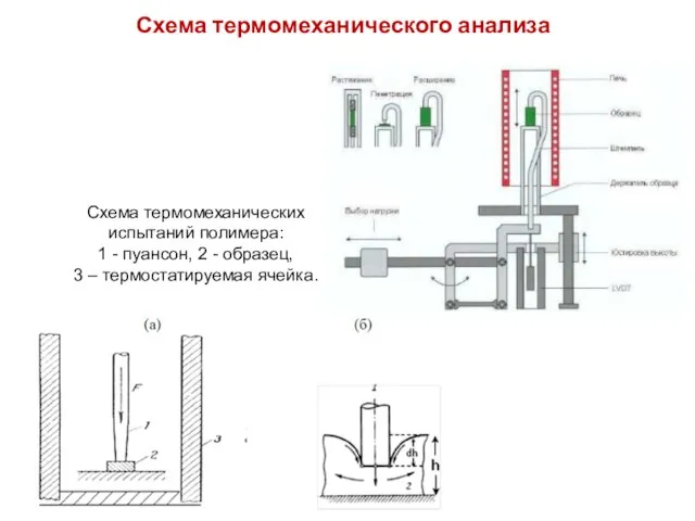 Схема термомеханического анализа Схема термомеханических испытаний полимера: 1 - пуансон, 2 -