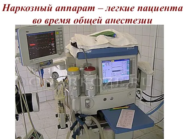 Наркозный аппарат – легкие пациента во время общей анестезии