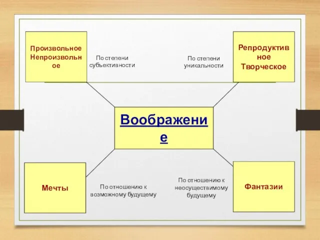 Воображение Произвольное Непроизвольное Фантазии Мечты Репродуктивное Творческое По степени субъективности По отношению