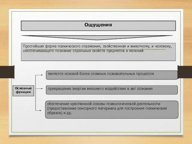 Ощущения Простейшая форма психического отражения, свойственная и животному, и человеку, обеспечивающего познание